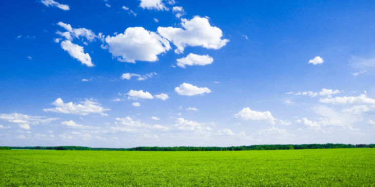 Green field and the blue sky