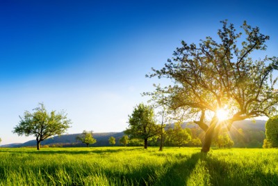 cropped-AdobeStock_333689494_400x267